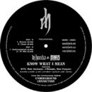 KNOW WHAT I MEAN (12')