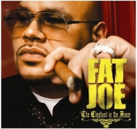 fatjoe.jpg